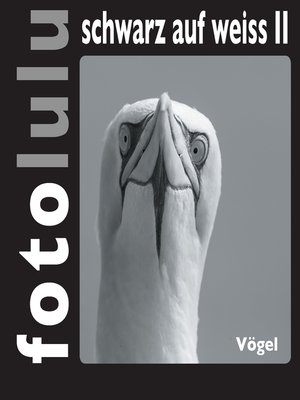 cover image of fotolulu schwarz auf weiss II